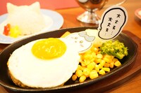 「ハチワレの目玉焼きハンバーグセット」