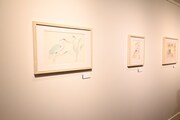 「君たちはどう生きるか展」の様子。