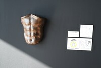 触れる展示「ドラケンのカチカチの腹筋とキズ」