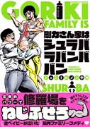 「剛力さん家はシュラバラバンババン」（帯付き）