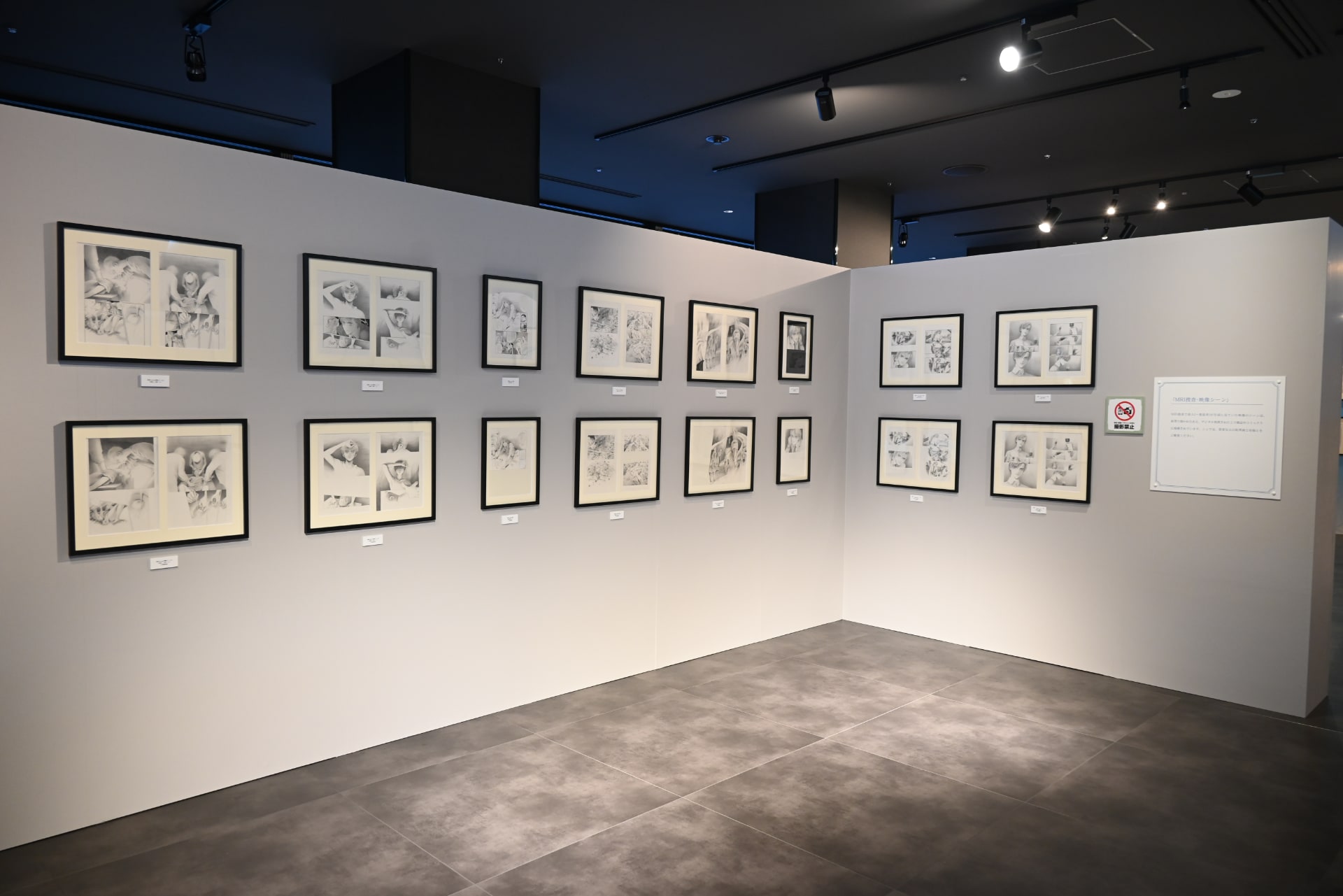 清水玲子原画展」開幕！イラストと下書きを対比して鑑賞、タロット