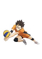 リベロ・西谷夕のアクションビジュアル。