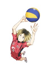 「劇場版ハイキュー!! ゴミ捨て場の決戦」守りの音駒8人の新ビジュアル