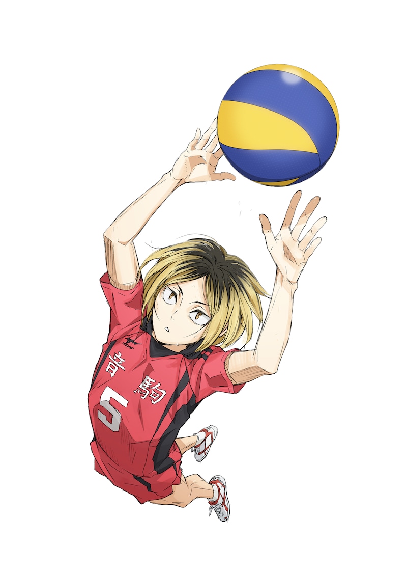 セッター・孤爪研磨のアクションビジュアル。