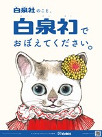 「ファッションマジック」のこはるの広告。