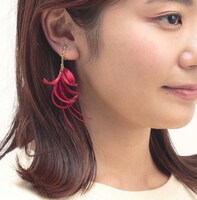 「アイキャッチ イヤーアクセサリー」