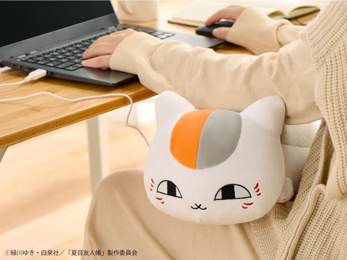 「あったかぬいぐるみ ニャンコ先生」