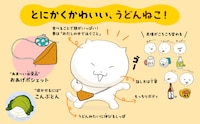 うどんねこの紹介。