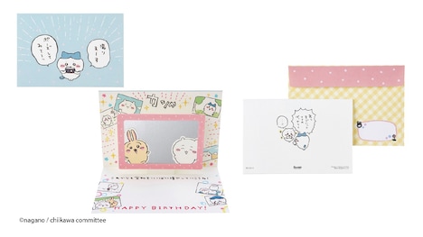 「誕生日祝い ハチワレ写真撮影」