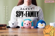 「ふんばるず SPY×FAMILY」告知画像