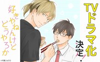 「好きやねんけどどうやろか」TVドラマ化決定の告知ビジュアル。(c)千葉リョウコ／海王社