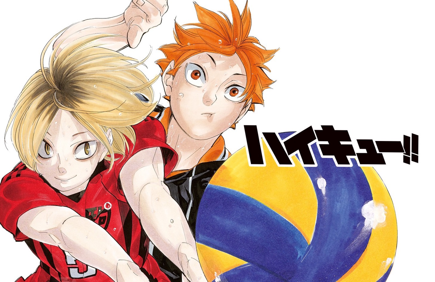 「ハイキュー!!」ビジュアル (c)古舘春一／集英社