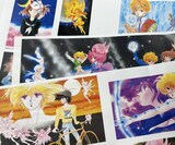 制作中のイラストギャラリー (c)星野架名／白泉社