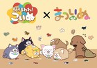 「貼りまわれ!こいぬ」×「まついぬ」、まついぬがステッカー貼りまわりこいぬが焦る