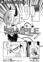 ゲーマーズ特典。