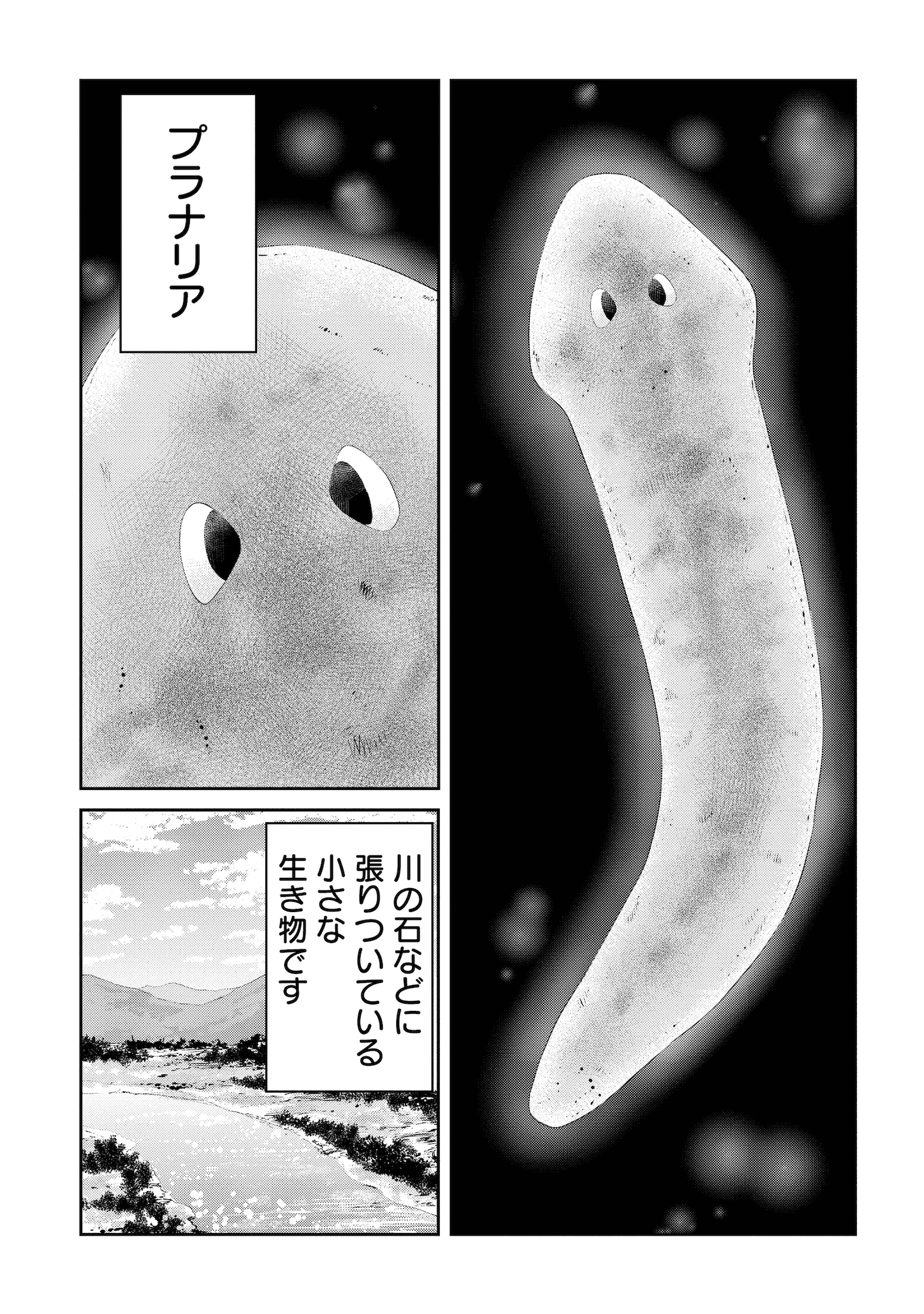 「プラナリア人間」より。