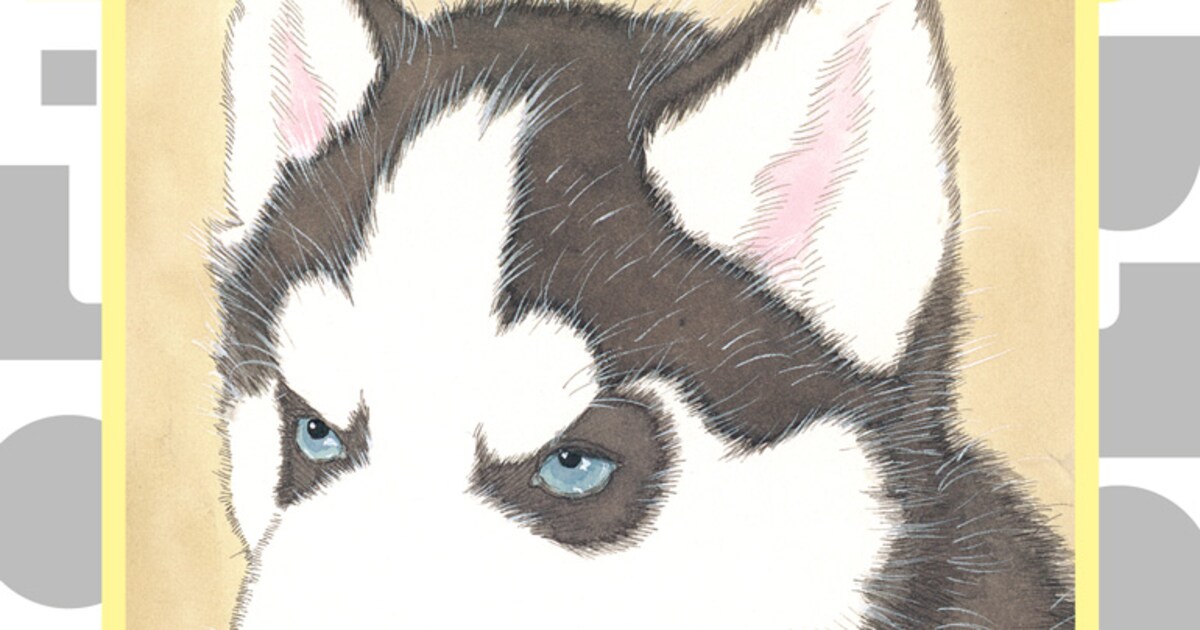 動物のお医者さん」新装版が全12巻で刊行 2024年1月から12月にかけて 
