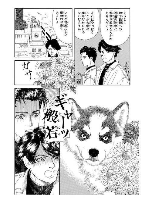 「動物のお医者さん」より。