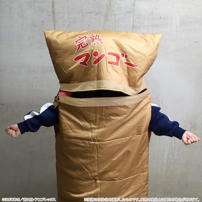 「寝袋 / 段ボール風」