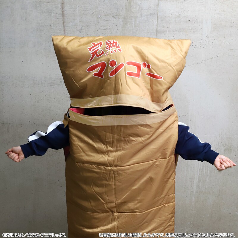 「寝袋 / 段ボール風」