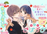 「たまのごほうび」続編のバナー。