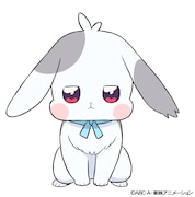 大福。悟と暮らしているうさぎ。勇敢な性格。