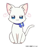 ユキ。まゆと暮らしている猫。