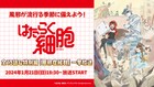 細菌と戦う細胞たちの姿を描くアニメ「はたらく細胞」ニコ生で全話無料一挙放送