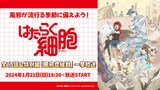 「はたらく細胞」全話無料一挙放送バナー。(c)清水茜／講談社・アニプレックス・davidproduction