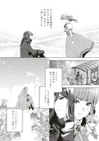 「シュガーアップル・フェアリーテイル ～銀砂糖師の家～」より。