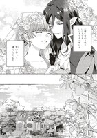 「シュガーアップル・フェアリーテイル ～銀砂糖師の家～」より。