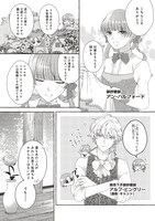 「シュガーアップル・フェアリーテイル ～銀砂糖師の家～」より。