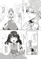 「シュガーアップル・フェアリーテイル ～銀砂糖師の家～」より。