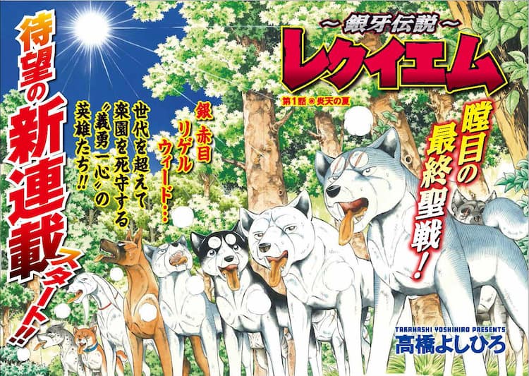 シリーズ最新にして最終！高橋よしひろの新連載「～銀牙伝説 