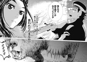 「ゴールデンカムイ」1話より、羆と対峙することを決めた杉本とアシㇼパ。