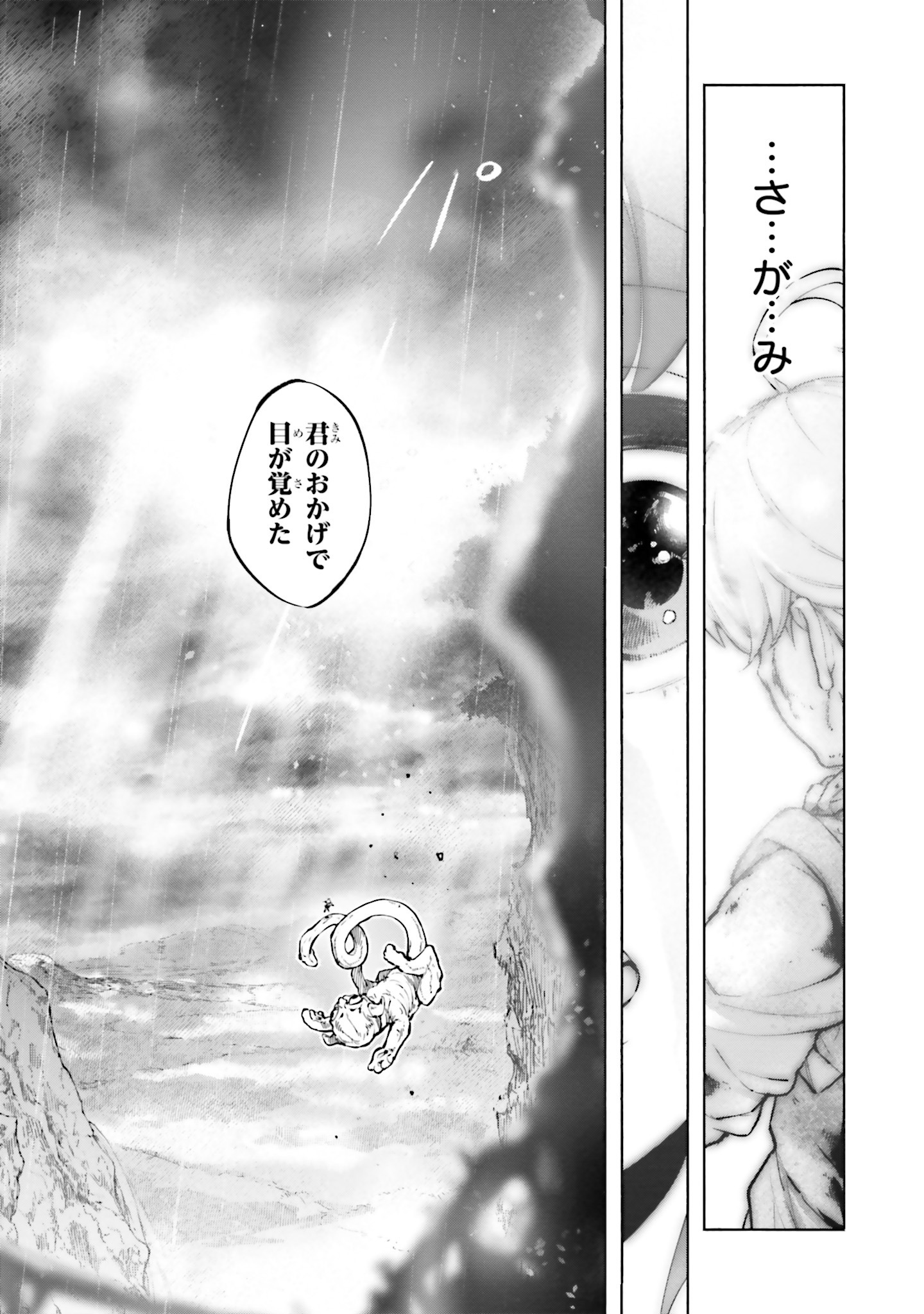 「身体は児童、中身はおっさんの成り上がり冒険記 サテラもついて行きます！」より。