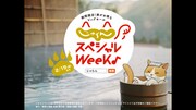 「幽☆遊☆白書」×じゃらん タイアップWebCM「湯湯白書」篇より。
