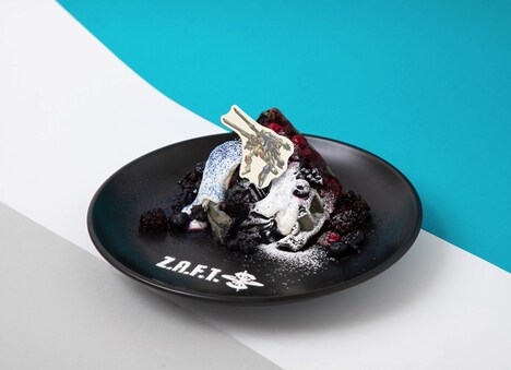 「ザフトのために～忘れはしない誇り～」