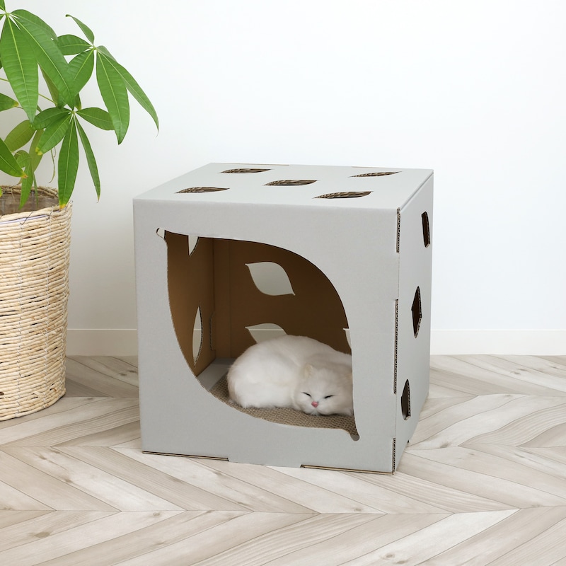 「animate LIMITED SELECTION TVアニメ『呪術廻戦』獄門疆ペットハウス」でくつろぐ猫のイメージ画像。