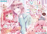 「となりはふつうのニジカ（ちゃん）」扉ページ (c)柚原瑞香／集英社