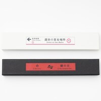 「運命日記 モデル ネックレス」