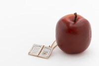 「運命日記 モデル ネックレス」