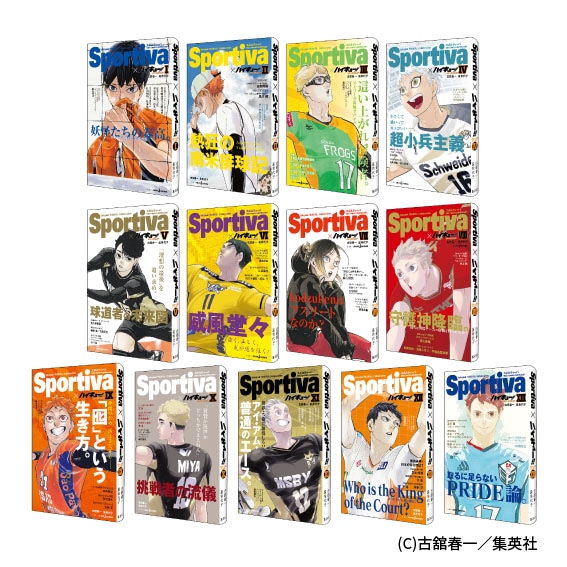 全面帯が巻かれた「ハイキュー!! ショーセツバン!!」1巻から13冊のイメージ。