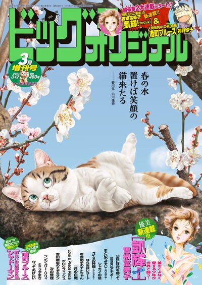 ビッグコミックオリジナル増刊3月号