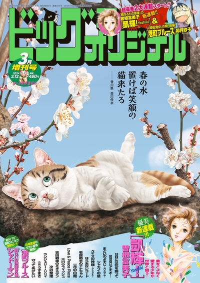 ビッグコミックオリジナル増刊3月号