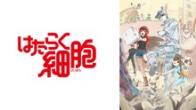 アニメ「はたらく細胞」告知ビジュアル