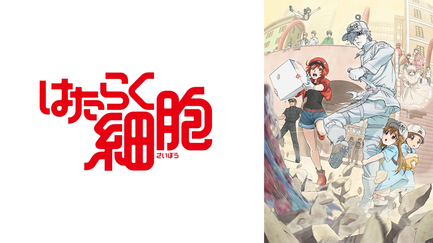アニメ「はたらく細胞」告知ビジュアル