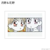 「彼氏彼女の事情 ポストカードセット」