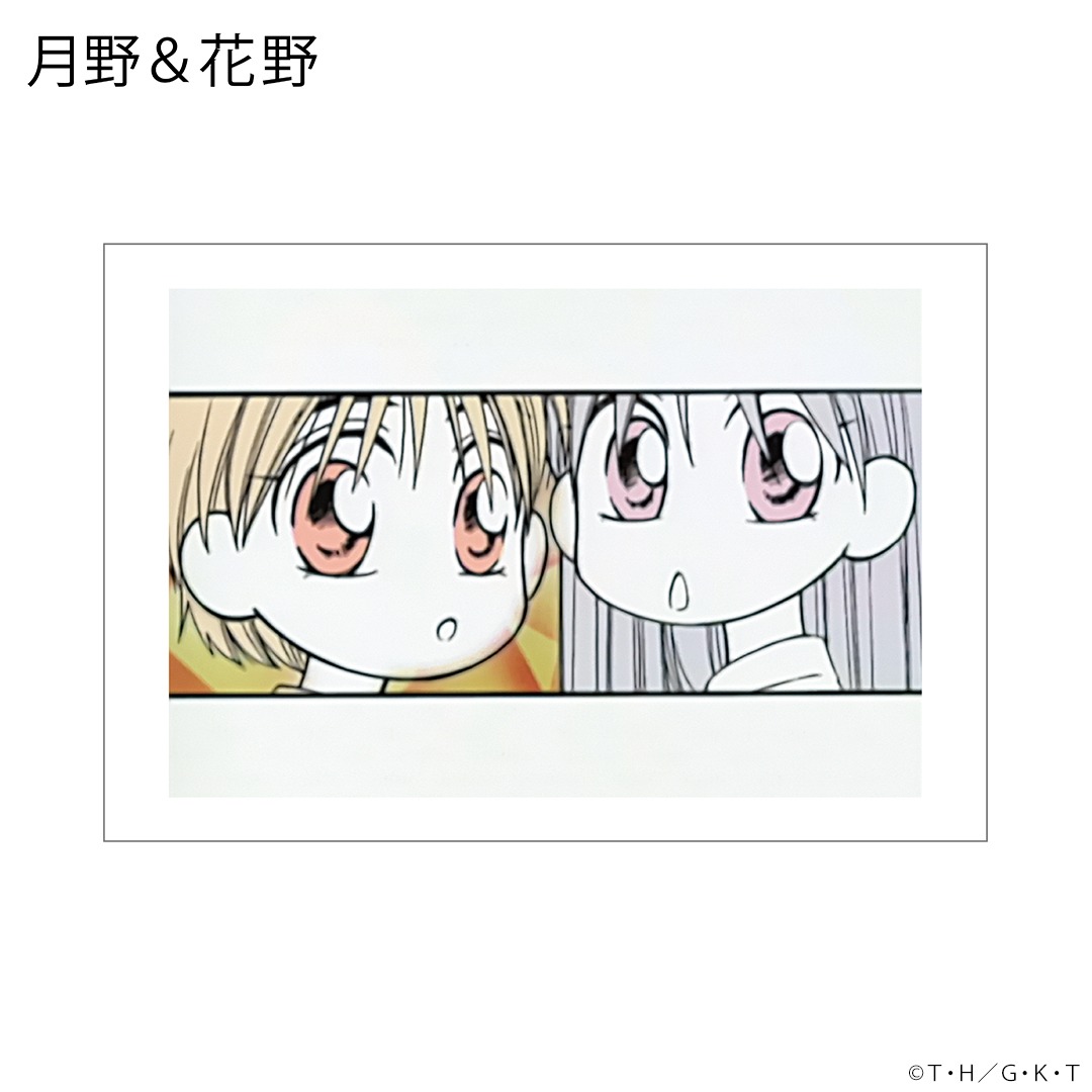 「彼氏彼女の事情 ポストカードセット」