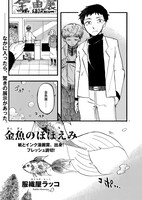 服織屋ラッコ「金魚のほほえみ」より。